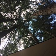 img 026